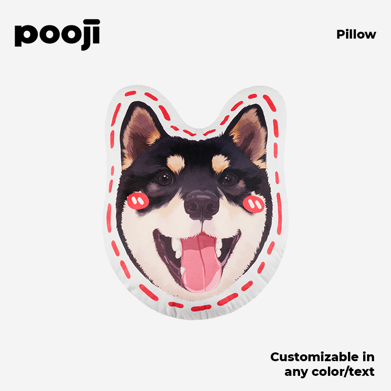 POOJI Original Design Pillow - Irregular Cute Doll Double-sided Pillow