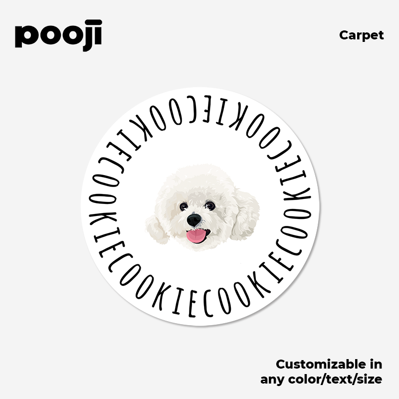 POOJI Original Design Dopamine Light Luxury Velvet Custom Carpet