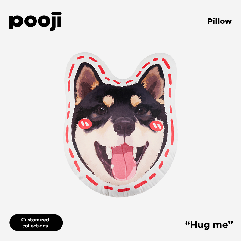 POOJI Original Design Pillow - Irregular Cute Doll Double-sided Pillow